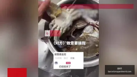 宫鲁鸣盛赞凯发K8app：球队信念坚定，展现必胜风貌，我满意至极